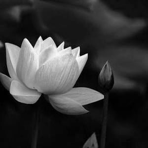 Meet your Posher, Ngọc